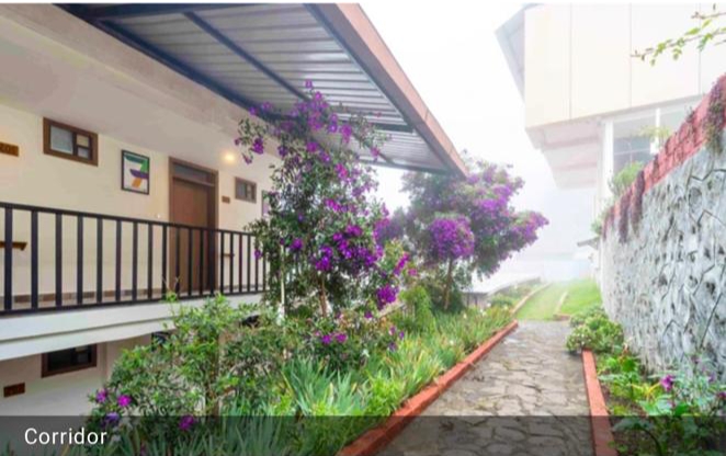 img 20251017 025550 img 20251017 025550